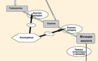 Лечение подагры Аллопуринолом при обострении и особенности применения
